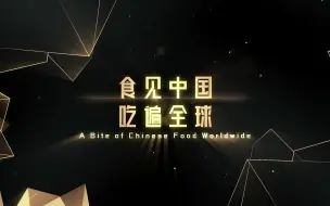 第三届“第三只眼看中国”短视频大赛：食见中国吃遍全球获奖视频片花