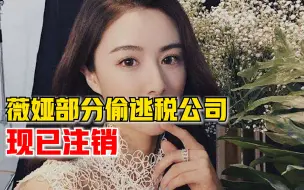 薇娅部分偷逃税公司已注销