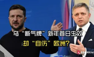 乌“断气牌”新年首日生效 却“自伤”欧洲？