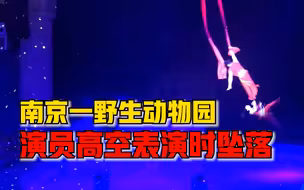 南京一野生动物园演员高空表演时坠落，园方:有保护措施，演员无碍