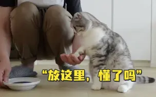 不放手上喂我，我会吃？