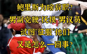 关于男副党鞭“抚摸”男议员让首相辞职这件事