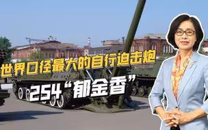 俄军2S4型郁金香自行迫击炮，曾在亚速钢铁厂战役大显神威