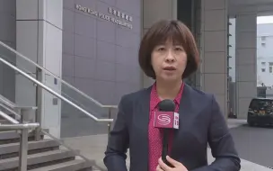 驻港记者观察：50多名乱港分子被捕 拘捕行动并未结束