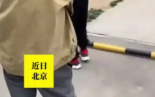 养鸽子影响邻居卫生 俩人“斗嘴”像说相声