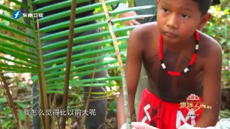 “子弹蚁”的威力有多猛？270仅接触一秒手指就肿了！