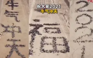 牛！90后“鸡司令”小伙指挥上千只鸡摆出“牛气冲天”！