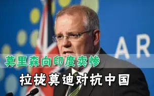 “民主”正在被胁迫？澳大利亚总理拉拢印度，卖惨还不忘指责中国