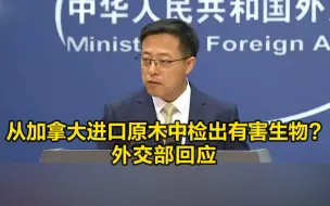 从加拿大进口原木中检出有害生物？外交部回应