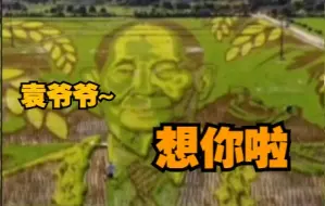 用丰收缅怀袁老！长沙农民用彩色水稻“种出”袁隆平巨幅画像