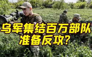 乌克兰国防部长：正在集结百万人部队，“准备反攻并夺回南部”