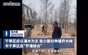 荒漠种乔木是不是抽水机 ？专家称荒漠仅靠降雨乔木无法存活