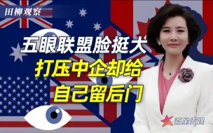 贼喊捉贼！五眼联盟抹黑中企，还要求给自己“留后门”