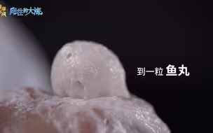 【向往的大海】什么是“丸”美人生？喏，就在这颗圆球里