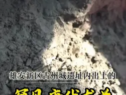 雄安新区出土罕见萌系龙首：黑眼珠、绿眼线