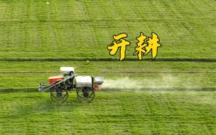 万物复苏吐新绿，家家户户忙春耕！感受生机勃勃的春天❤️