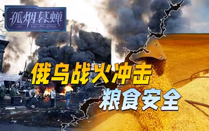 俄乌冲突影响“命脉”，粮食安全引全球关注，但中国餐桌不受影响