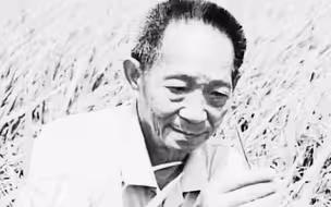 海外各界人士缅怀袁隆平：全世界人民将永远铭记他的贡献