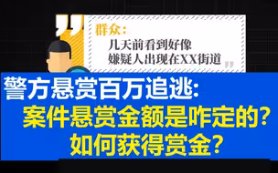 警方悬赏百万追逃：数额怎么定？如何获得赏金？