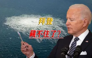 美国记者接连爆料，北约逐渐打破沉默，“北溪”的事该了结了
