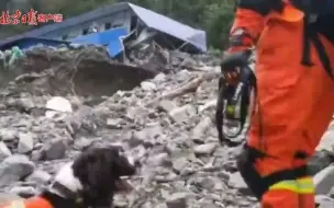 救援现场｜四川雅安泥石流已致2人遇难，仍有12人失联
