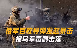 毒刺立大功，乌军肩扛导弹击落俄军巡航导弹，乌总统特意点名表扬