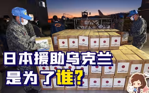 日本援助乌克兰其实违法了？日本内阁：啊对对对【如妮所说·潘妮妮】