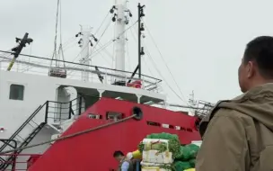 不夸张！张昕宇梁红99天万里南极行储备30吨食物