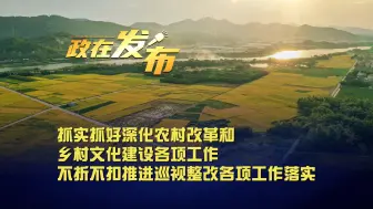 政在发布丨抓实抓好深化农村改革和乡村文化建设各项工作 不折不扣推进巡视整改各项工作落实