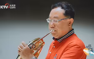 与你在一起丨唐兵圆号演奏柴可夫斯基《第五交响曲：第二乐章》