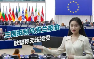 又一国加入，西方三国联手对乌克兰出手，欧盟称无法接受