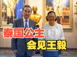 泰国公主诗琳通会见王毅