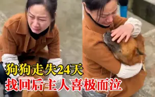 狗狗走失24天主人找回后当场泪崩：狗瘦了20斤，养9年和孩子一样