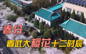 【武汉时间】春分，武大樱花十二时辰