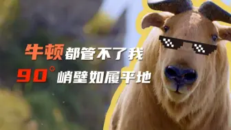 大体重的羚牛为何有着超强的攀爬能力？
