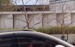 爸爸偷偷拍回家路上的女儿