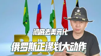 彻底去美元化，俄罗斯准备拉上金砖国家，建立一个货币独立系统