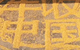 又是一年好“丰”景！河南农村小伙用玉米粒2小时作画《丰收中国》