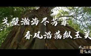 戈壁瀚海尽芳菲 春风浩荡纵玉关