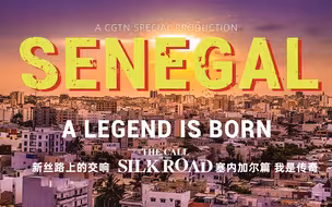 塞内加尔：在新的竞技场加冕，未来摔跤传奇在此诞生