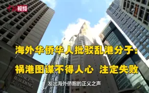 多国华侨华人批驳乱港分子：祸港图谋不得人心 注定失败！