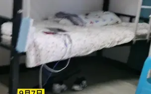 “猴哥”进女生宿舍找吃的吓坏女生，女生：想吃啥自己拿吧。@咕出天际