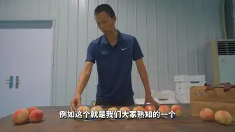 南汇水蜜桃都吃过吧？但这些知识点你知道么？