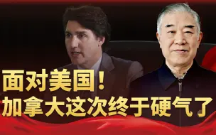 送出无数投名状，却成为美国任意宰杀的羔羊，加拿大终于爆发了