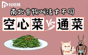 DUDU猫教你讲粤语21：空心菜VS通菜