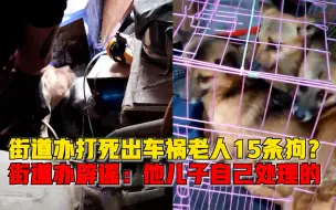 街道办辟谣打死出车祸老人15条狗：狗是老人儿子处理的，已报警