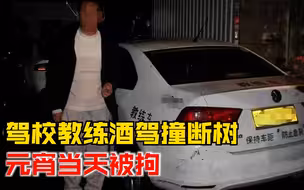 驾校教练酒驾撞断树元宵当天被拘：谎称是姑父代驾，被当场识破