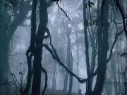 云南哀牢山楚雄州辖区：严禁擅自进入保护区，违反者最高罚款5000元