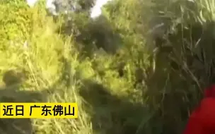 男童坐过山车弄丢人工耳蜗，整套价值30万，公安和消防“地毯式”搜索寻回