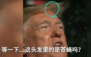 苍蝇占领了特朗普的金丝刘海？！